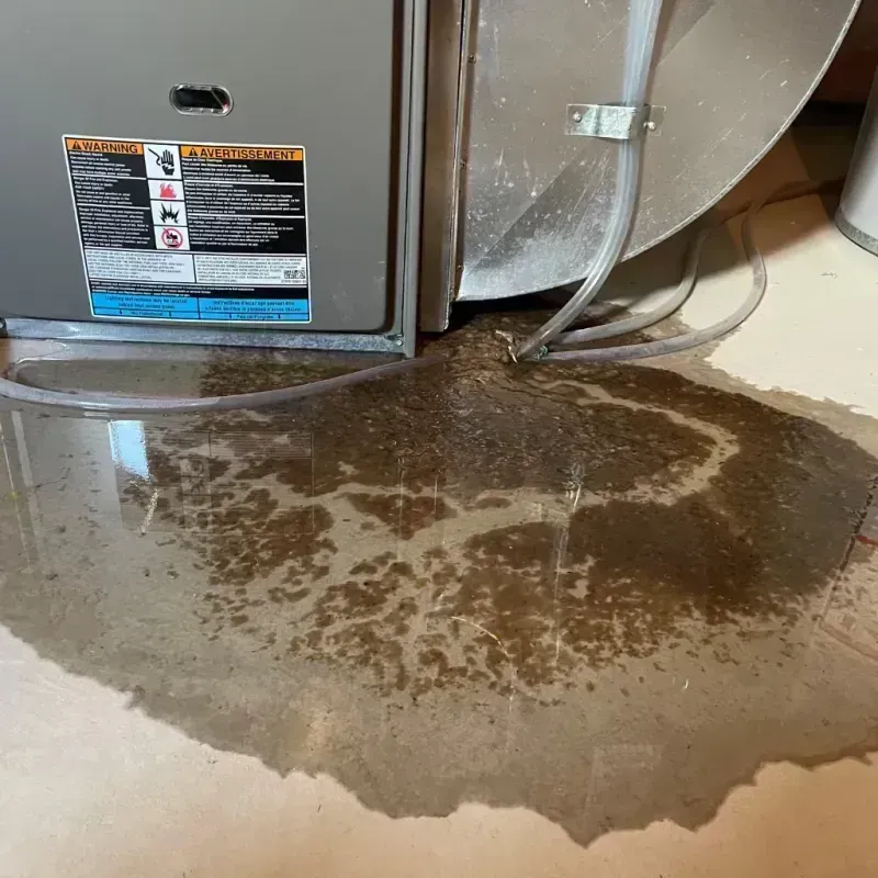 Appliance Leak Cleanup in Lebanon, ME